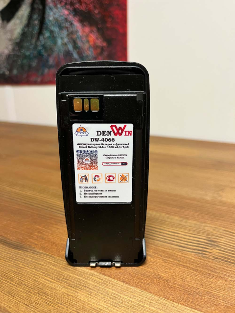 DENWIN SMART DW-4066