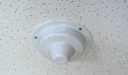 SS-1D