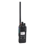 Icom IC-F3600DS