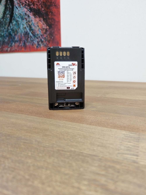 DENWIN DW-6574