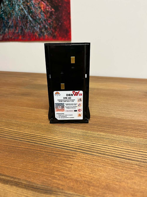 DENWIN DW-20